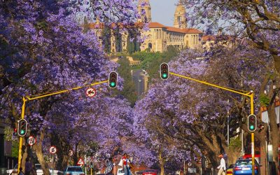 Interview radio 702 : “We want businesses to stay open, but people must be safe” Interview on the Money Show dr. Ernest Messina