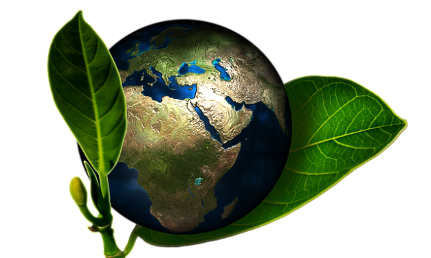 Global Innovation Index 2017 Report Now Available