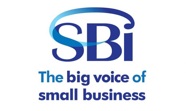 New Release from the Small Business Institute