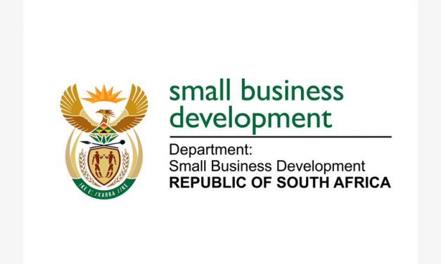 SBI’s submission to the National Integrated Small Enterprise Development Masterplan (NISED)