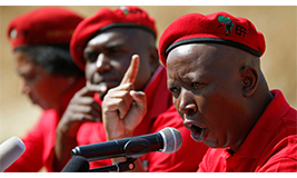 The South African: Small Business Institute: SMMEs overlooked in EFF manifesto