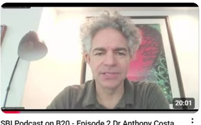 SBI Podcast, episode two on B20 – In conversation with Dr Anthony Costa